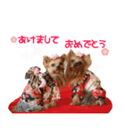 クレロラの日常（個別スタンプ：14）