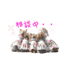 クレロラの日常（個別スタンプ：15）