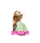クレロラの日常（個別スタンプ：16）
