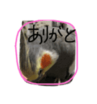 inkoteam（個別スタンプ：9）