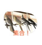 inkoteam（個別スタンプ：16）