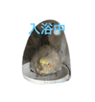 inkoteam（個別スタンプ：17）