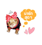 Happy＆Freshy（個別スタンプ：13）