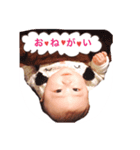 kottonton2（個別スタンプ：3）