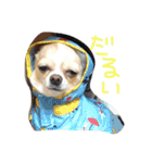 mametaroro（個別スタンプ：3）