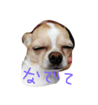 mametaroro（個別スタンプ：5）