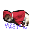 mametaroro（個別スタンプ：14）