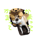 mametaroro（個別スタンプ：15）