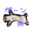mametaroro（個別スタンプ：16）