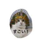 猫 メイはづき 1.0（個別スタンプ：21）