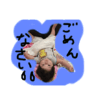 陽菜子すたんぷ（個別スタンプ：8）