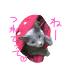 らるおスタンプ（個別スタンプ：3）