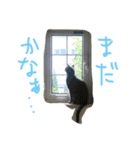 らるおスタンプ（個別スタンプ：5）