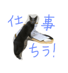 らるおスタンプ（個別スタンプ：8）