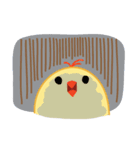 Fat Chick（個別スタンプ：15）