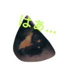やるせない犬（個別スタンプ：2）