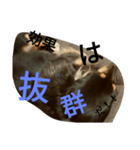 やるせない犬（個別スタンプ：7）