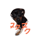 fam.n（個別スタンプ：3）