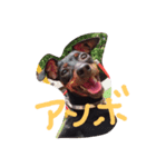 fam.n（個別スタンプ：7）
