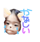 きーやん（個別スタンプ：15）