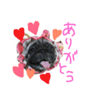 ゆるパグまめこのスタンプ（個別スタンプ：2）