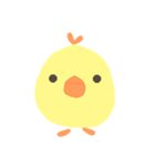 ぴーた（個別スタンプ：1）