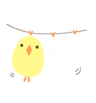 ぴーた（個別スタンプ：34）