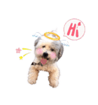 Hugo's happy daily life.（個別スタンプ：2）