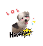 Hugo's happy daily life.（個別スタンプ：4）
