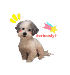 Hugo's happy daily life.（個別スタンプ：5）
