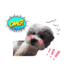 Hugo's happy daily life.（個別スタンプ：7）