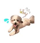 Hugo's happy daily life.（個別スタンプ：9）