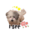 Hugo's happy daily life.（個別スタンプ：13）