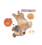 Hugo's happy daily life.（個別スタンプ：15）