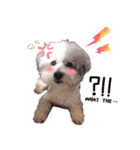 Hugo's happy daily life.（個別スタンプ：16）