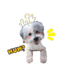 Hugo's happy daily life.（個別スタンプ：18）