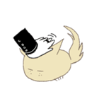 Black Cat and Cream Cat（個別スタンプ：19）