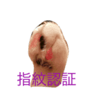 サブローの主張（個別スタンプ：7）