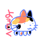 三毛猫の パンジー。（個別スタンプ：3）