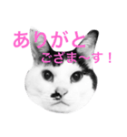Doro stumps（個別スタンプ：2）