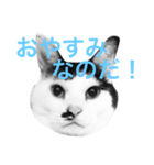 Doro stumps（個別スタンプ：3）