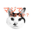 Doro stumps（個別スタンプ：5）