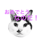 Doro stumps（個別スタンプ：6）