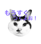 Doro stumps（個別スタンプ：7）