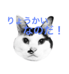 Doro stumps（個別スタンプ：8）