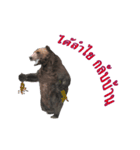 Grizzly Bear for Play Stock（個別スタンプ：3）