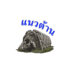 Grizzly Bear for Play Stock（個別スタンプ：6）