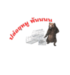 Grizzly Bear for Play Stock（個別スタンプ：8）