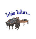 Grizzly Bear for Play Stock（個別スタンプ：20）