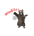 Grizzly Bear for Play Stock（個別スタンプ：21）